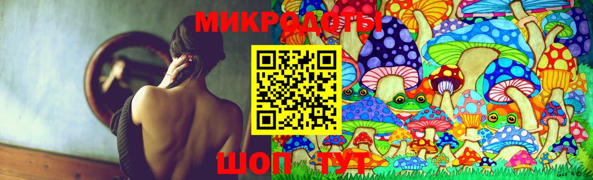 Северск  Галлюциногенные грибы MAGIC MUSHROOMS  наркошоп  Вход с VPN 
