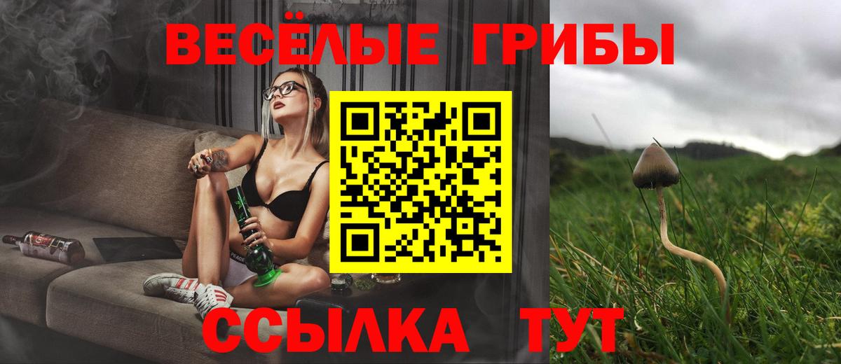 Псилоцибиновые грибы мухоморы Северск